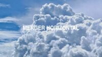 Merger Horizontal