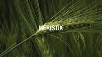 Meristik