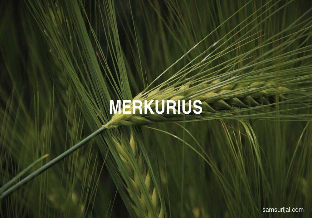 Arti Merkurius