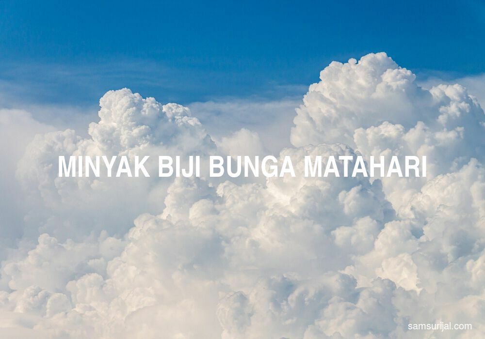 Arti Minyak Biji Bunga Matahari