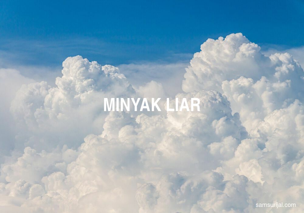 Arti Minyak Liar