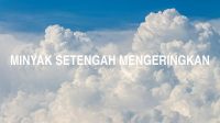 Minyak Setengah Mengeringkan