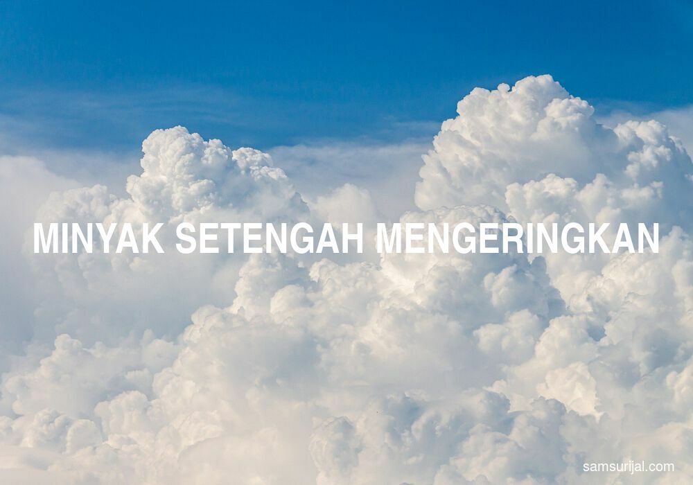 Arti Minyak Setengah Mengeringkan