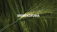 Mirmekofobia