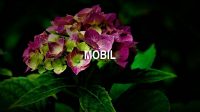 Mobil