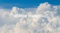 Morfem Segmental