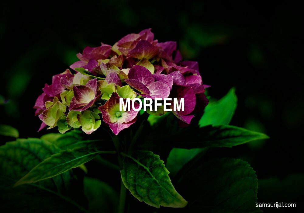 Arti Morfem