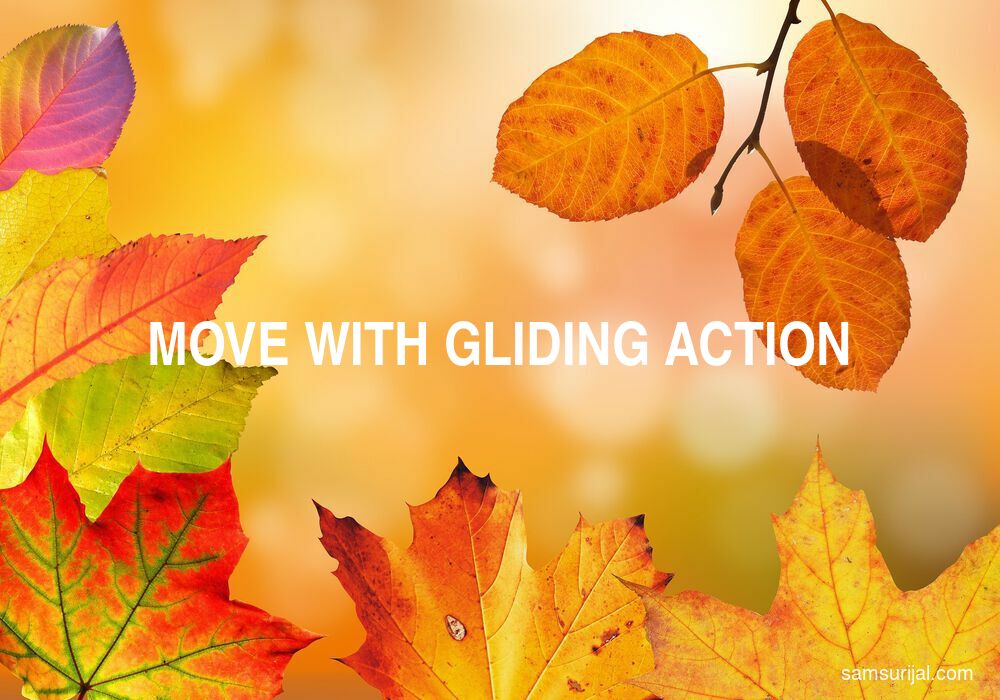 Arti Move With Gliding Action