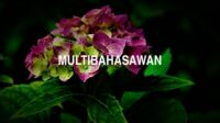 Multibahasawan