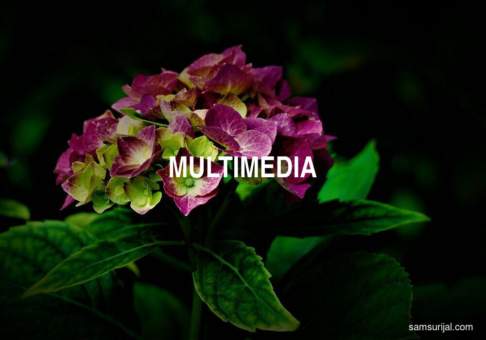 Arti Multimedia