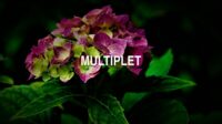 Multiplet