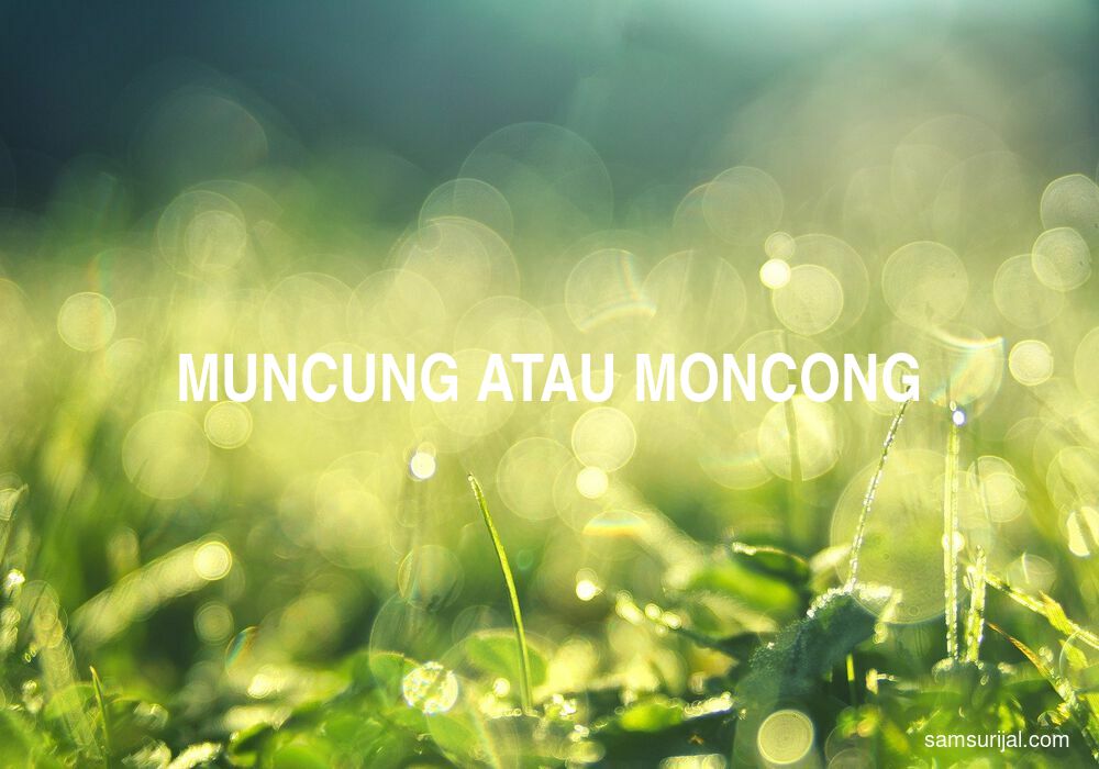 Penulisan Muncung Atau Moncong