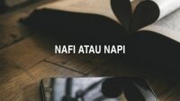 Nafi atau Napi