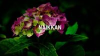 Naikkan