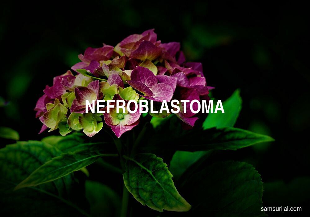 Arti Nefroblastoma