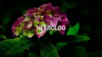 Nekrolog