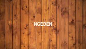 Arti Ngeden