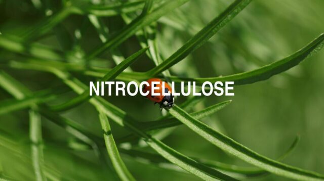 Arti Nitrocellulose