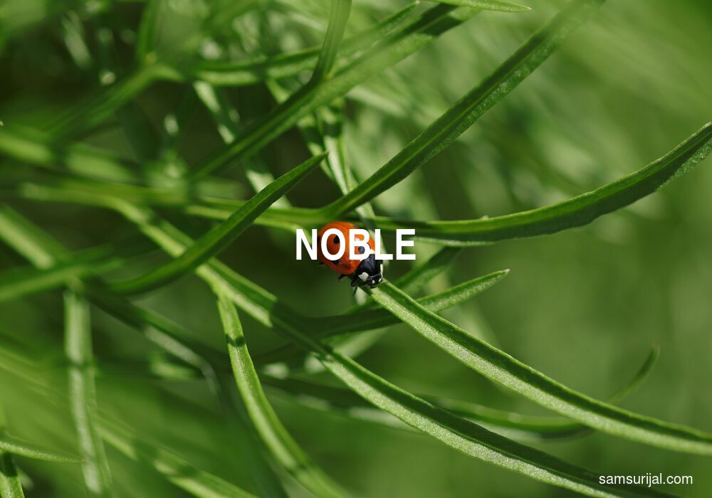Arti Noble