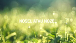 Penulisan Nosel Atau Nozel