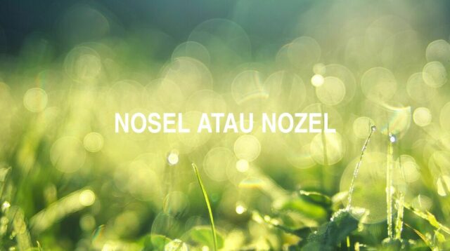 Penulisan Nosel Atau Nozel