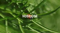 Nubilose