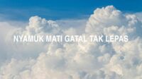 Nyamuk Mati Gatal Tak Lepas