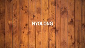 Arti Nyolong