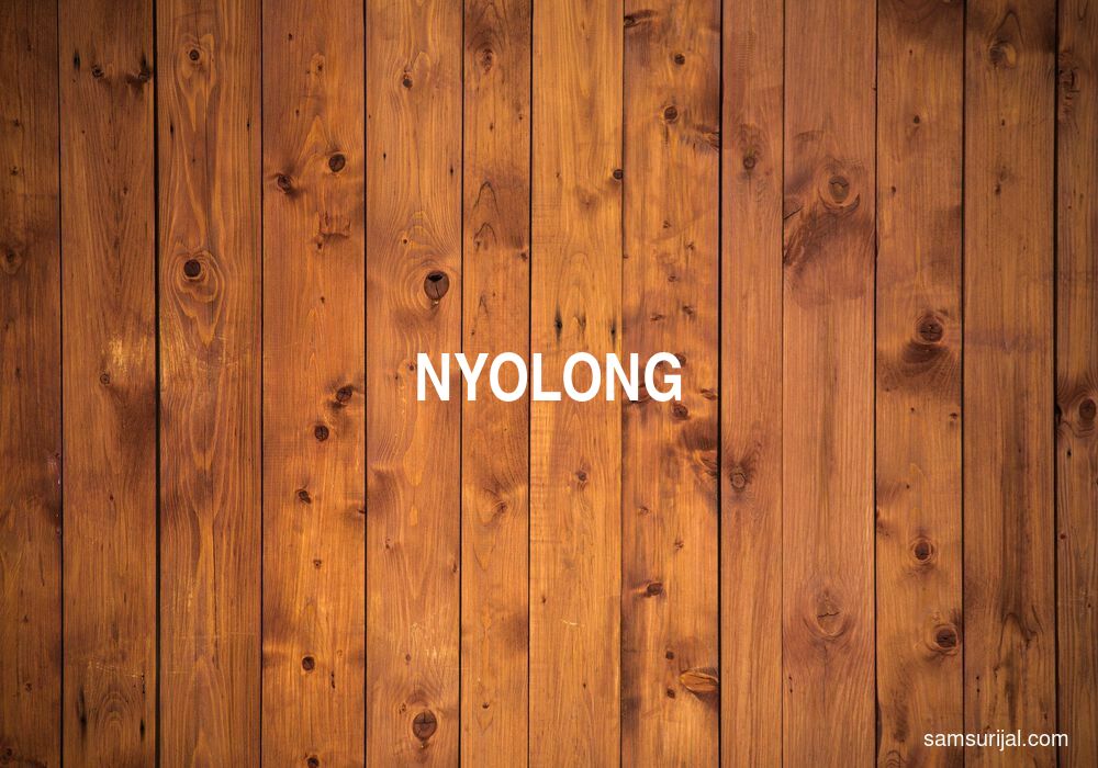 Arti Nyolong
