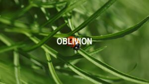 Arti Oblivion