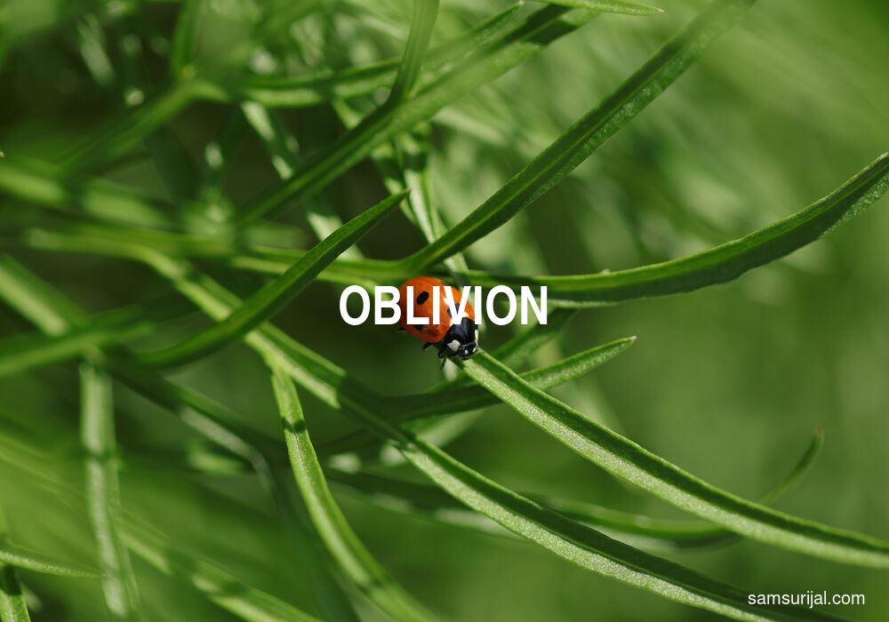 Arti Oblivion
