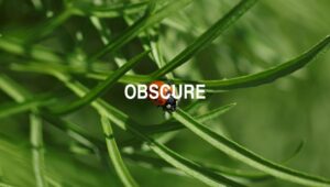 Arti Obscure