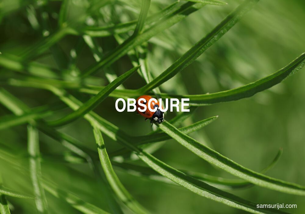 Arti Obscure