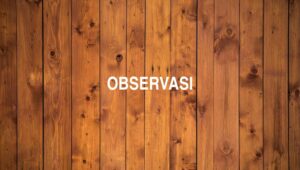 Observasi
