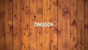 Onggok