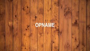 Arti Opname