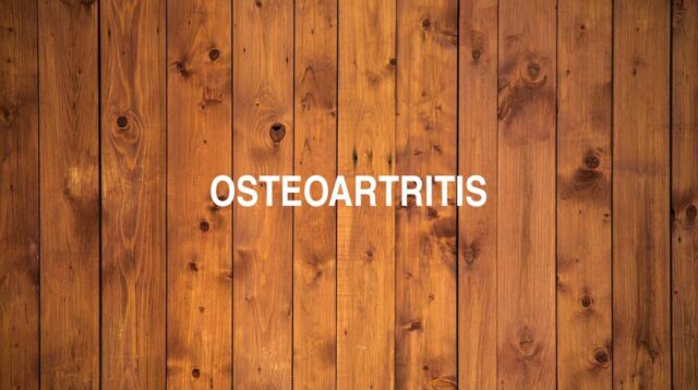 Arti Osteoartritis