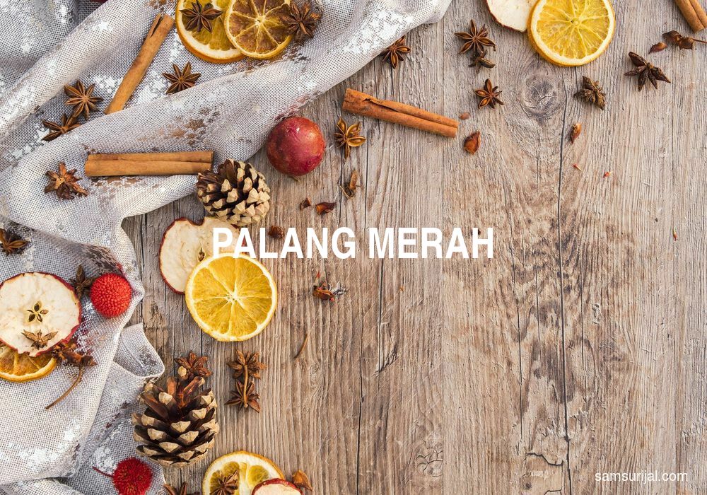 Arti Palang Merah