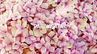Pariwisata
