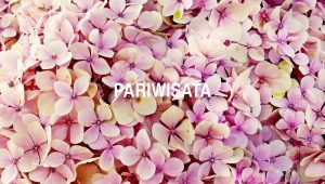 Arti Pariwisata
