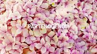 Partenogenom