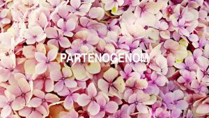 Arti Partenogenom