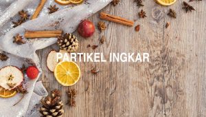 Partikel Ingkar