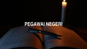 Pegawai Negeri