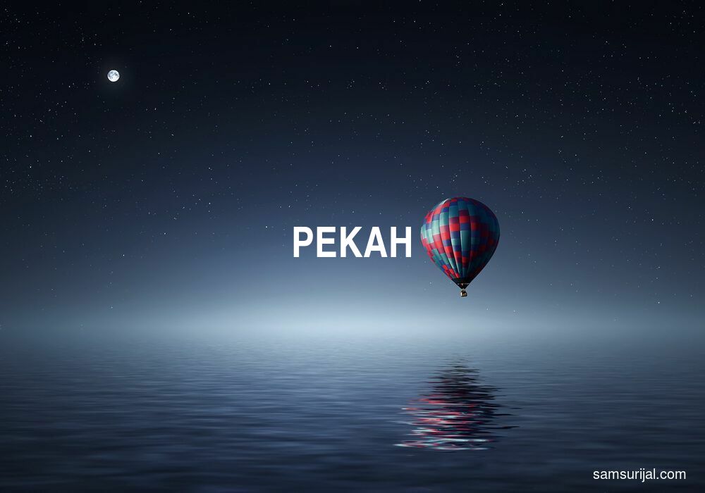 Arti Pekah