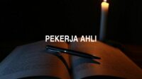 Pekerja Ahli