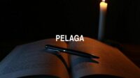 Pelaga