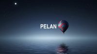 Pelan