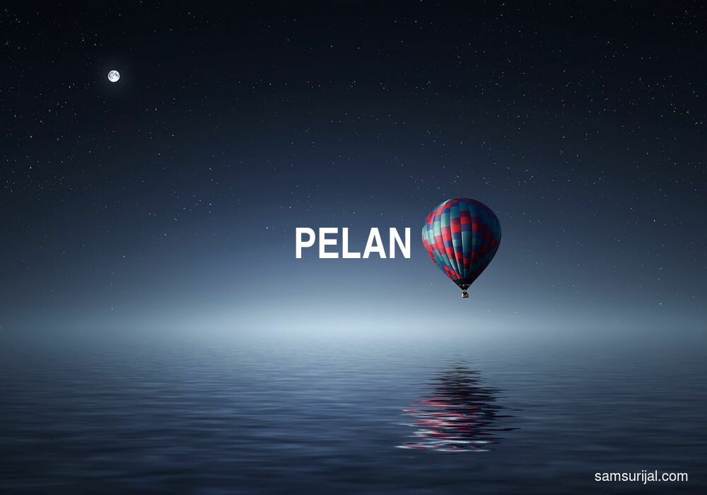 Arti Pelan