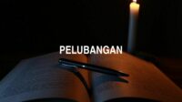 Pelubangan